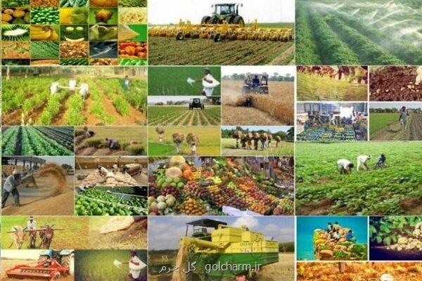 قیمت خرید تضمینی محصولات اساسی چگونه تعیین می شود؟