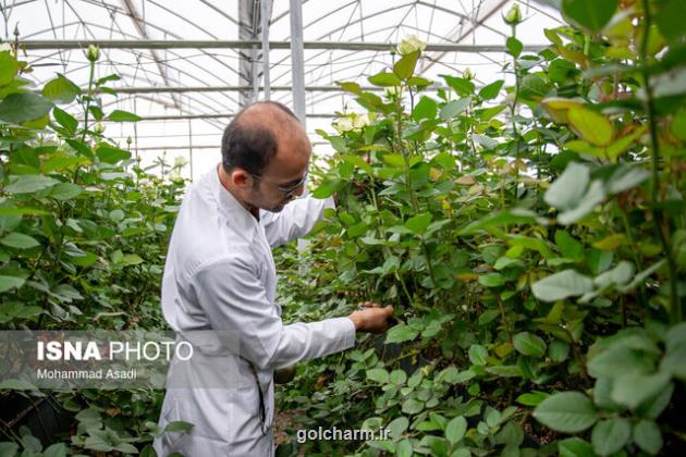 گلخانه ها، محافظان آب در عصر خشکسالی