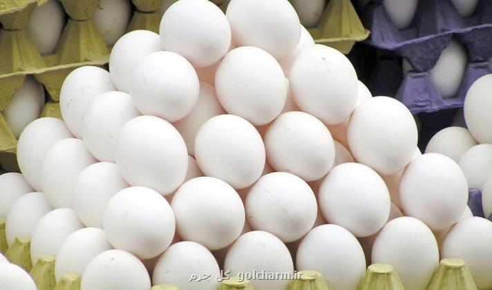 تخم مرغ امسال کمترین نوسان قیمتی را تجربه کرد