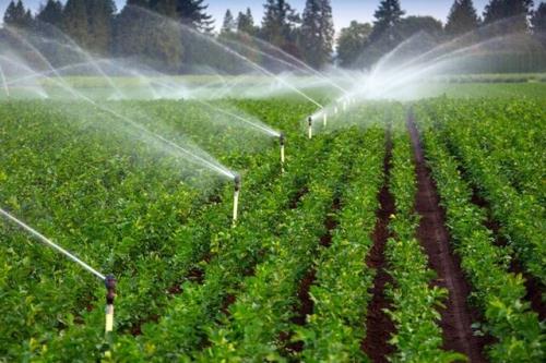 صادرات ۱۰۰ میلیون دلاری سامانه های نوین آبیاری