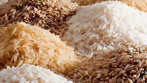 قیمت برنج در بازار کاهش می یابد