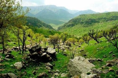 اجلاسیه بین المللی مدیریت پایدار جنگل های زاگرس