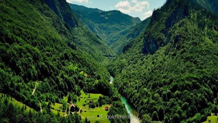 پیام معاون وزیر جهاد کشاورزی به مناسبت روز جنگل