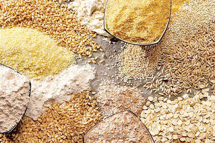 ضریب وابستگی کشور به نهاده های دامی چقدر است؟