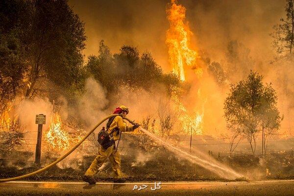 حدود ۶۰ دوربین محافظ طبیعت بلاتکلیف رها شده است