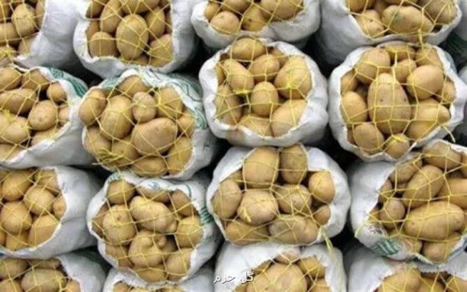 عرضه گسترده میوه و سیب زمینی توسط سازمان تعاون روستایی در سراسر کشور