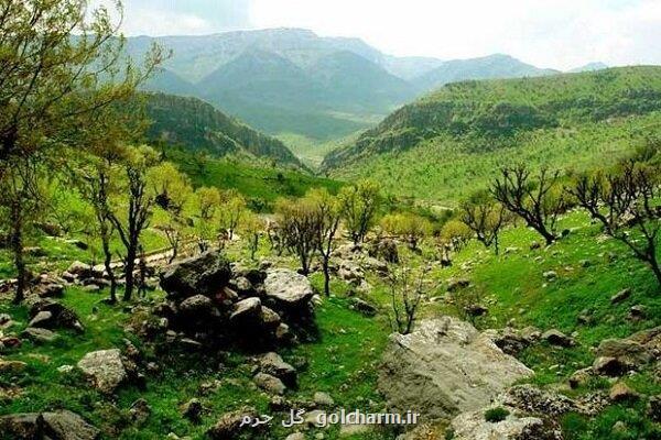 اجلاسیه بین المللی مدیریت پایدار جنگل های زاگرس