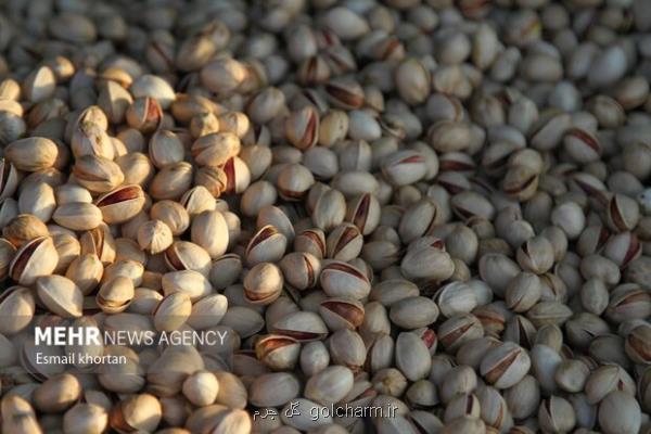 اولین آفت کش گیاهی بر پایه گیاهان بومی ایران و کنترل آفت پسته