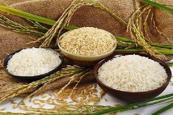 حذف واردات برنج های باکیفیت برای صرفه جویی ارزی