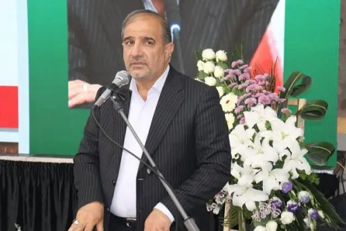 دام ها در مزارع سبز گندم درحال چرا هستند