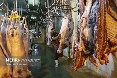 فرآورده های گوشتی معاف از مالیات ارزش اضافه گردید