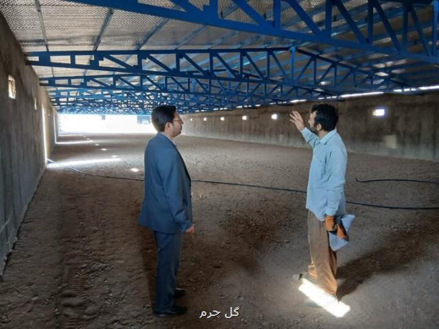 راه اندازی واحد پرورش مرغ در جودانه میامی افزایش ۳۲۰ تنی تولید گوشت