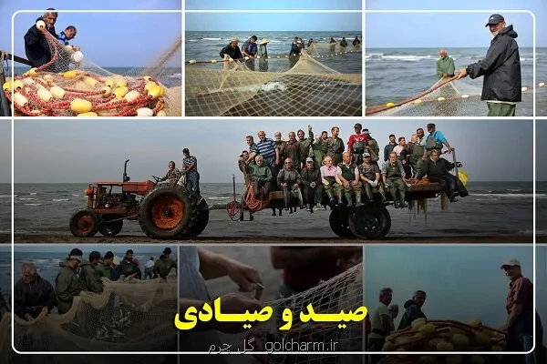 گیلان پیشتاز احیای ذخایر آبزی صید ماهیان استخوانی ۴۰ درصد رشد کرد