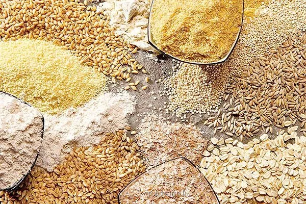 نهاده های دامی به اندازه مورد نیاز در سامانه بازارگاه توزیع نمی شود