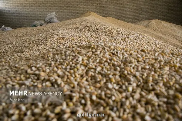 افزایش برخوردها با فساد پشت فاکتوری در سامانه بازارگاه