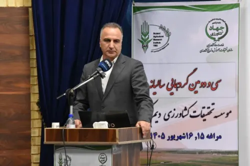 ثبت رکورد تاریخی تولید گندم در کشور با تولید ۱۴، ۱ میلیون تن
