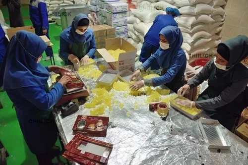 افتتاح 244 طرح تعاونی با بیشتر از 28 هزار فرصت شغلی