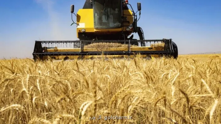 پرداخت مطالبات گندمکاران خوزستانی بصورت مستمر پیگیری می شود
