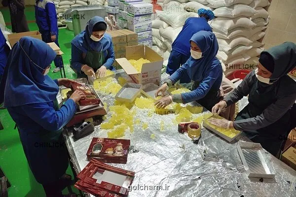 افتتاح 244 طرح تعاونی با بیشتر از 28 هزار فرصت شغلی