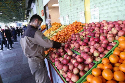قیمت میوه و تره بار تهران موز و خربزه گران گردید، مرغ ارزان