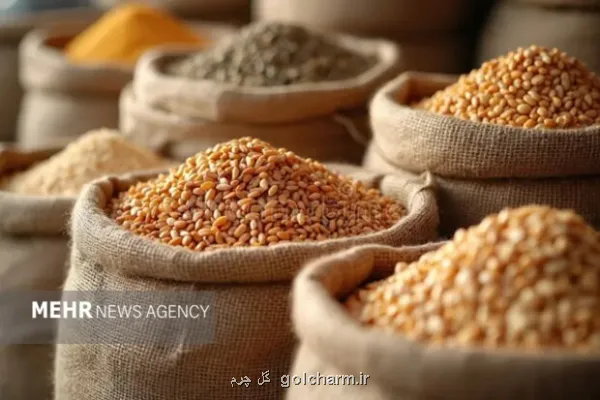 افت قیمت جهانی گندم و ذرت در مقابل گرانی روغن و برنج