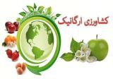 ایران چهل وسومین تولیدكننده ارگانیك، دولت باید به كشاورزان ارگانیك یارانه بدهد