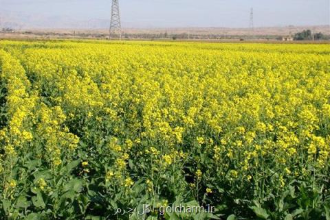 امضای تفاهم نامه همكاری بین سپاه پاسداران و تعاون روستایی