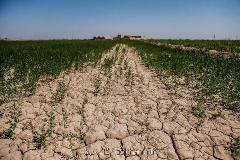 اجرای روش های بی خاك و كم خاك ورزی در ۲ میلیون هكتار اراضی زراعی