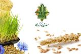 كاهش ۶۴ درصدی پوشش بیمه كشاورزی، مطالبات بیمه شدگان پرداخت نشد