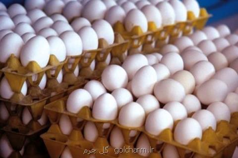 تخم مرغ كیلویی ۱۸۰۰ تومان ارزان شد، توقف واردات ضروری می باشد