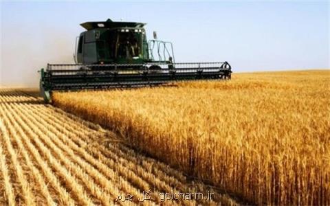 آغاز فعالیت سامانه فروش گندم، وضعیت كالاهای اساسی مطلوب است