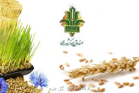 كاهش ۶۴ درصدی پوشش بیمه كشاورزی، مطالبات بیمه شدگان پرداخت نشد