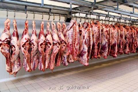 واردات ماهانه ۲۰۰ هزار راس دام زنده، بازار گوشت تعدیل می گردد