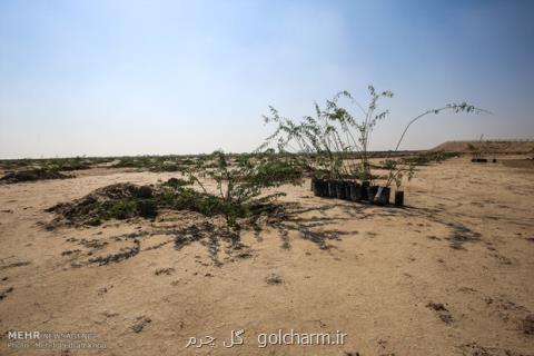 افزایش ۹ و نیم میلیون تنی محصولات كشاورزی با اجرای طرح ۵۵۰ هزارهكتاری