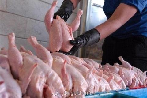 مشكل توقف توزیع مرغ گرم در كرج حل شد