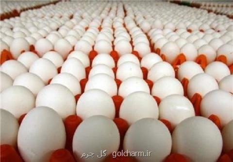 قیمت تخم مرغ به زیر ۵ هزارتومان كاسته می شود