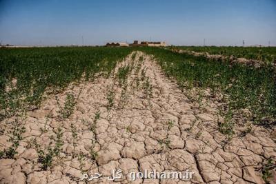 وزارت جهادكشاورزی مجوزی برای صادرات خاك صادرنكرده است