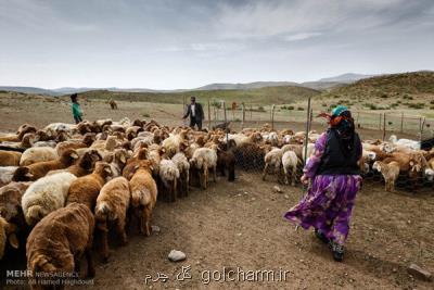 قوانین و مقررات در مناطق روستایی و عشایری نیازمند بازبینی است