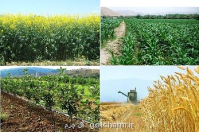 سه چالش بخش كشاورزی در سال 98، دستاوردهایی كه چوب بی تدبیری خورد