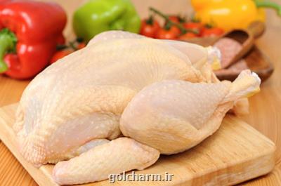 مصوبه ستاد تنظیم بازار برای جمع آوری مرغ مازاد