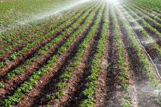 سیستم های آبیاری تحت فشار توسعه می یابد