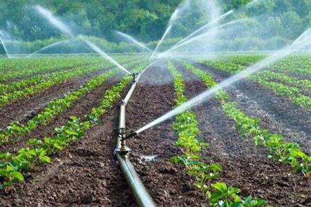 اجرای ۲۳۸ هزار هكتار سامانه های نوین آبیاری امسال