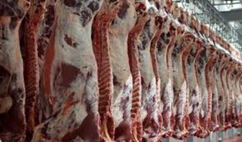 عرضه گوشت قرمز ۵۰ هزار تومانی در فروشگاه های زنجیره ای