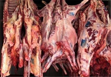 ۱۹۰ هزار تن گوشت قرمز سالانه توسط عشایر تولید می شود