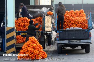 توزیع میوه شب عید در تهران شروع شد