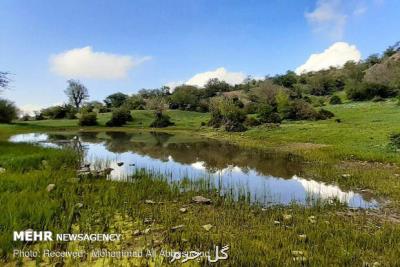 بحث تنفس جنگل ها باید به صورت جدی دنبال شود