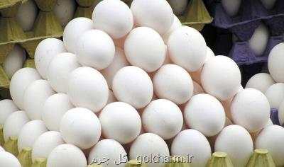 روند صعودی قیمت تخم مرغ ادامه دارد