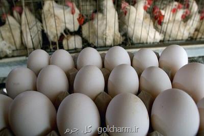 قیمت هر شانه تخم مرغ كمتر از ۲۰ هزار تومان است