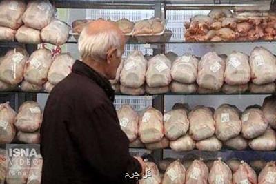 فروش مرغ بیشتر از 19 هزارتومان تخلف و گرانفروشی است