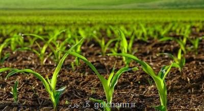 افزایش 200 تا 300 درصد قیمت نهاده های كشاورزی